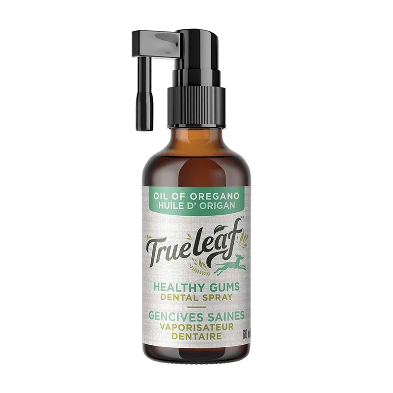 True Leaf - Healthy Gums Oil of Oregano Dental Spray - 60 mil