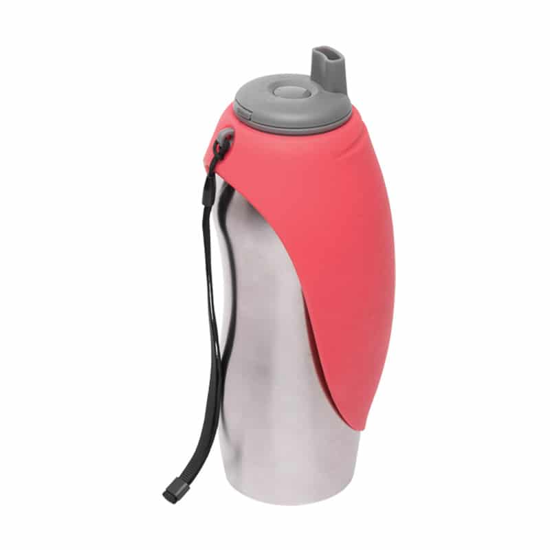 Messy Mutts - Travel - Water Bottle - Stainless Steel