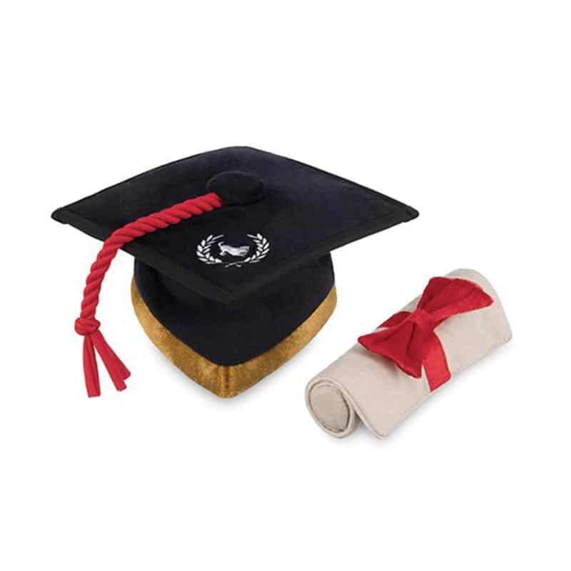 PLAY - Back To School -Grad Hat & Scroll