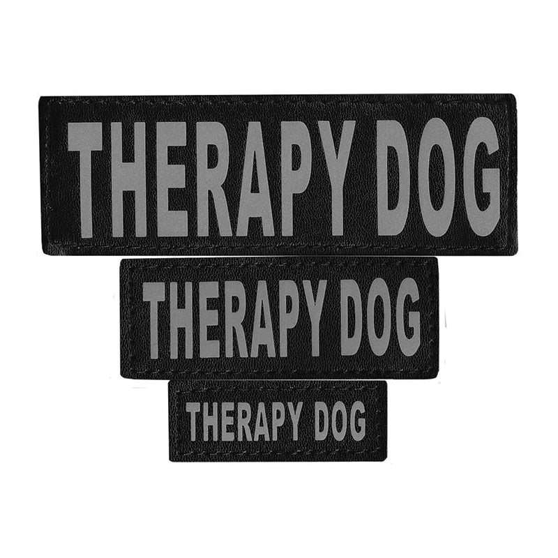 DOGLINE - Therapy Dog Patch
