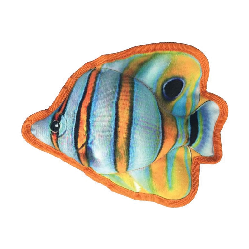 DOGLINE - Tropical Butterflyfish