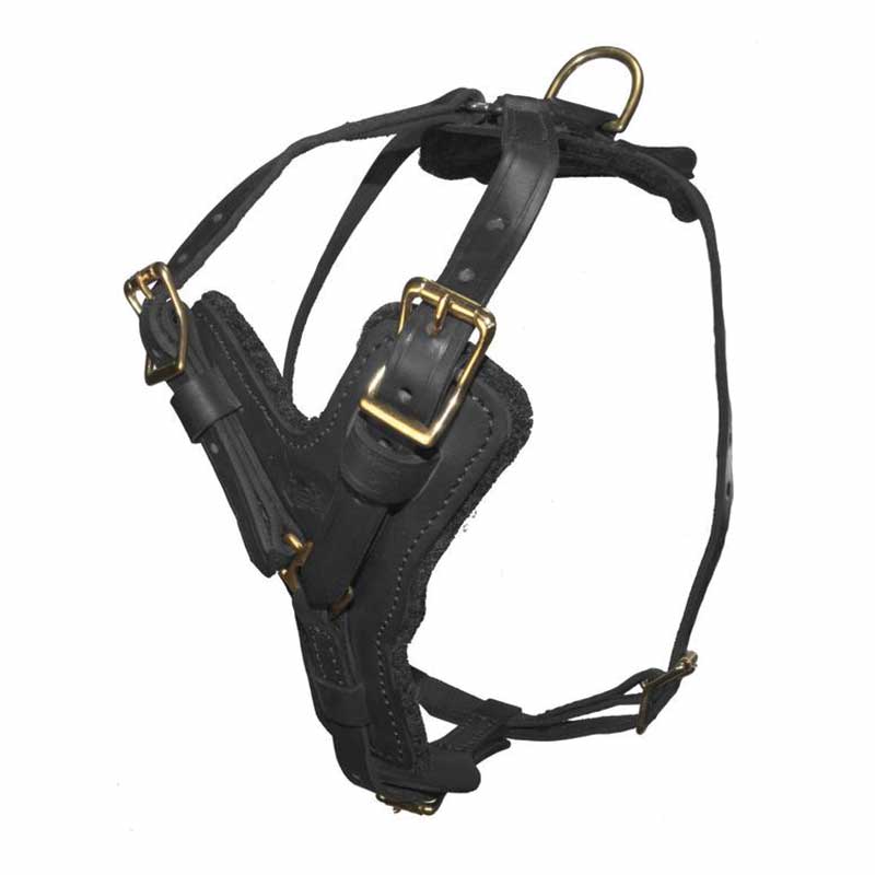 DOGLINE - Typhoon Leather Working - Dog Harness