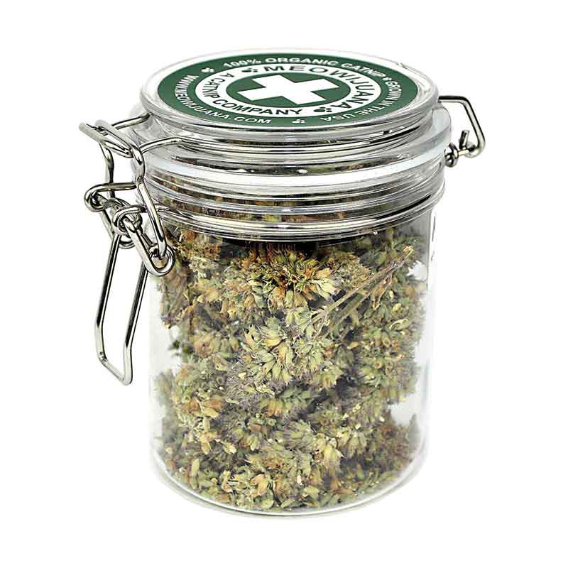 Meowijuana - Large Jar of Catnip Buds