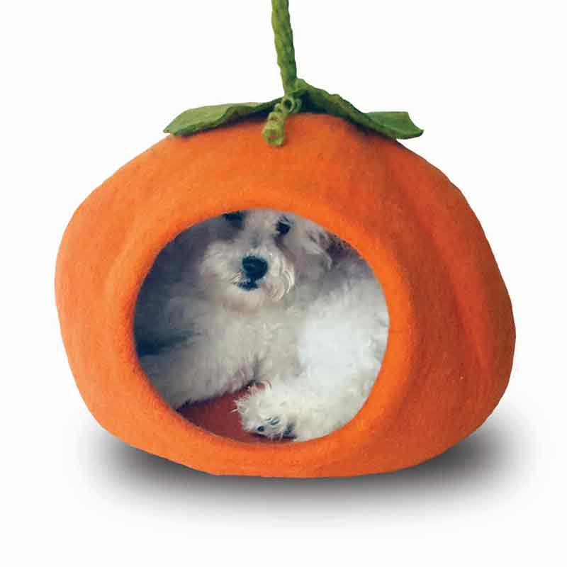 Dharma Dog Karma Cat - Cave - Pumpkin - Orange