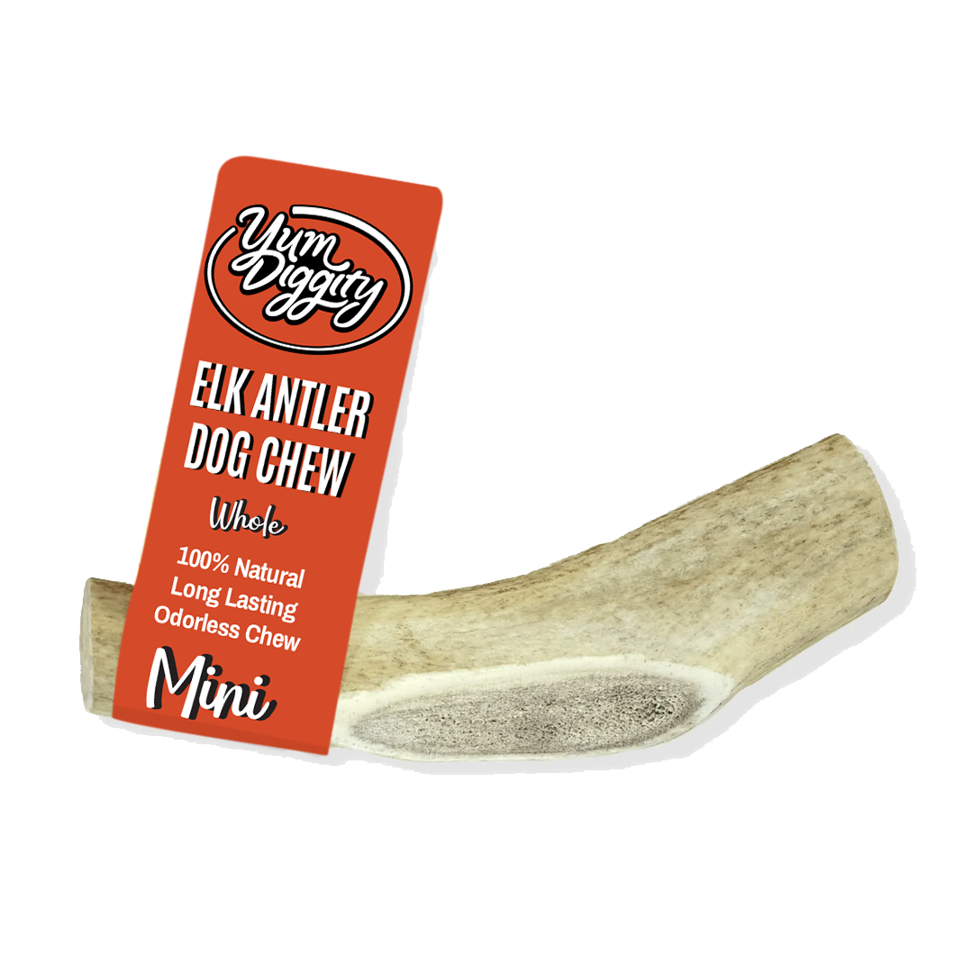 Yum Diggity - Whole Elk Antler Chew