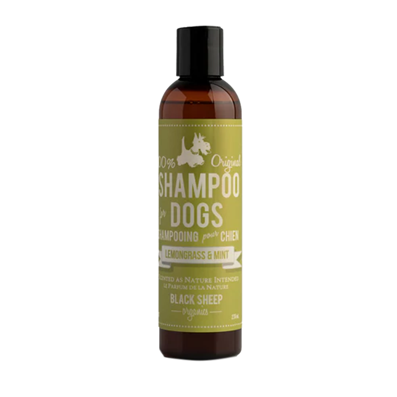 Black Sheep Organics - Lemongrass & Mint Organic Shampoo