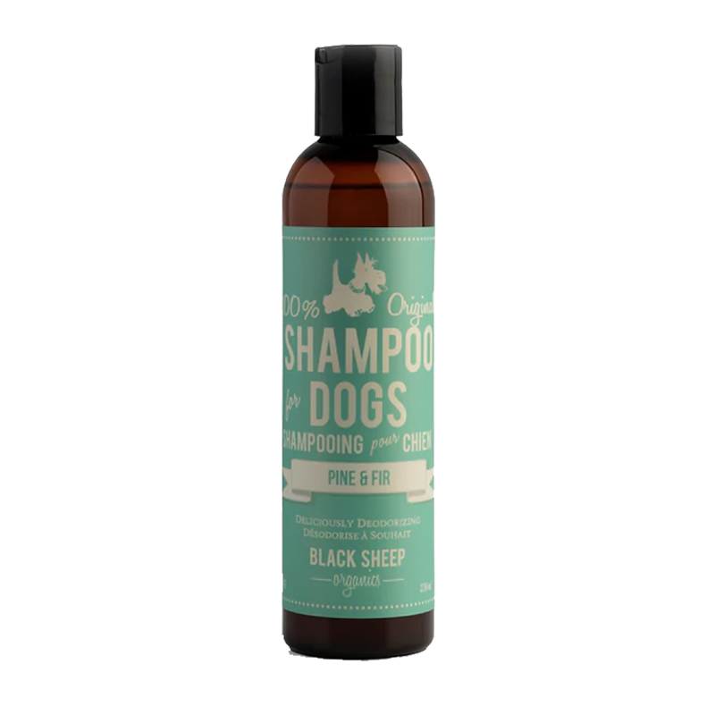Black Sheep Organics - Pine & Fir Organic Shampoo