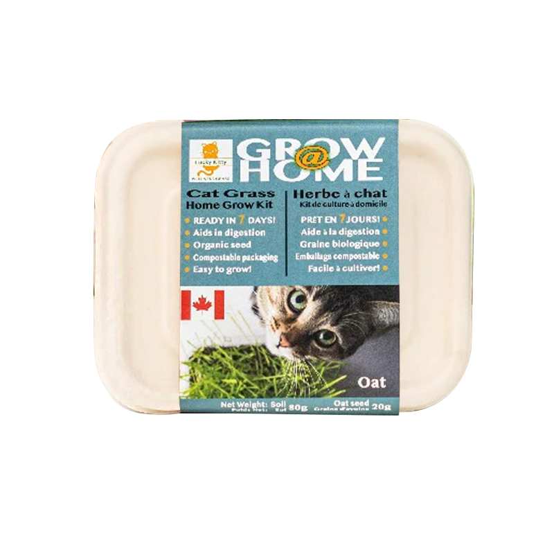 Lucky Kitty - Grow at Home Cat Grass OAT (Case of 6)