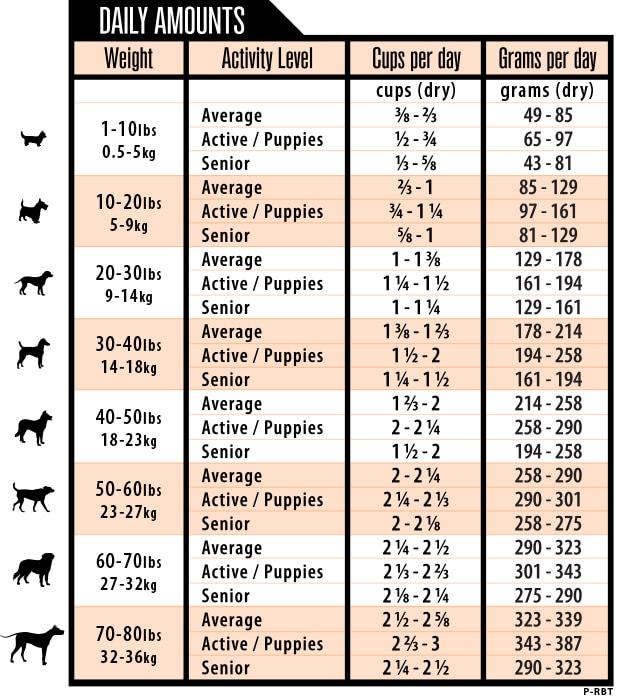 Grandma Lucy's - PUREFORMANCE - Grain-Free Rabbit